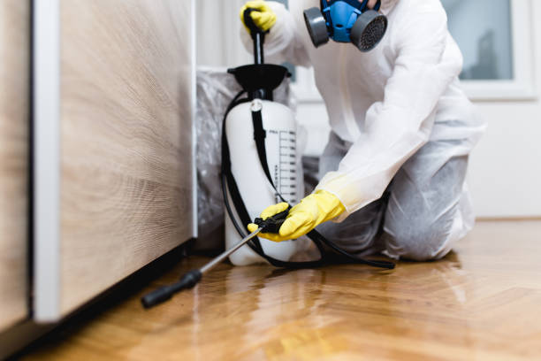 Best Best Pest Control Companies  in Morrisville, NY