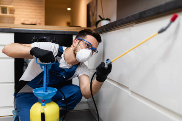 Best Emergency Pest Control  in Morrisville, NY