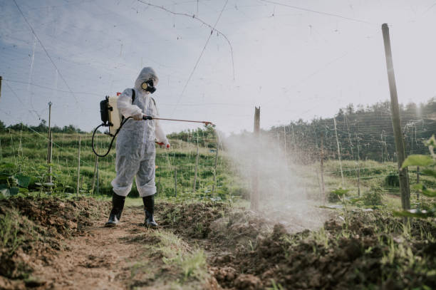 Best Ant Control Services  in Morrisville, NY