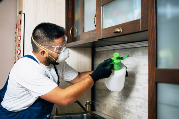 Best Wildlife Control Services  in Morrisville, NY