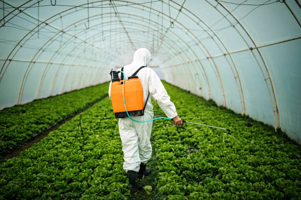 Best Pest Inspection Near Me  in Morrisville, NY