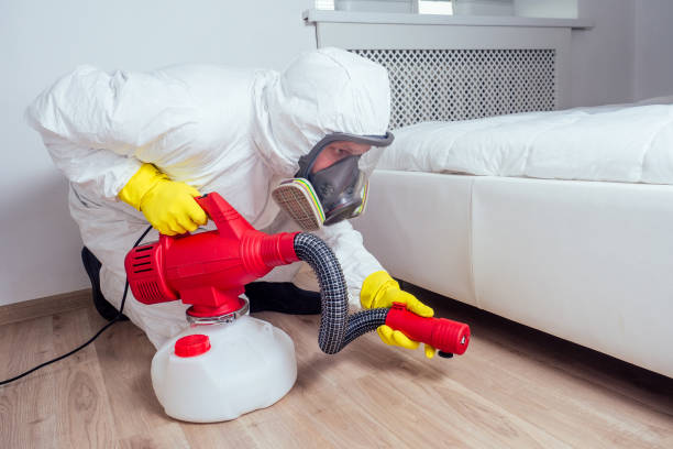 Best Termite Control Services  in Morrisville, NY