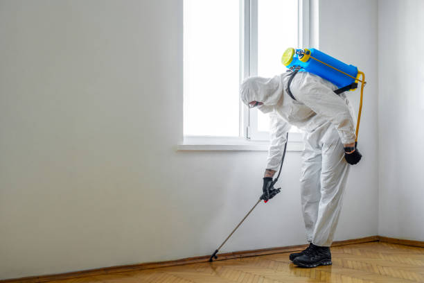 Best Affordable Pest Control Services  in Morrisville, NY