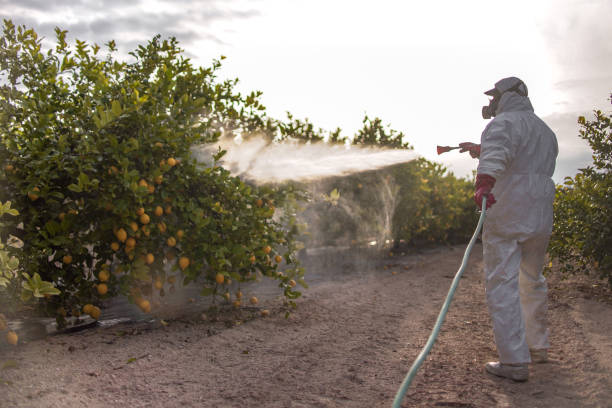 Best Pest Removal Services  in Morrisville, NY