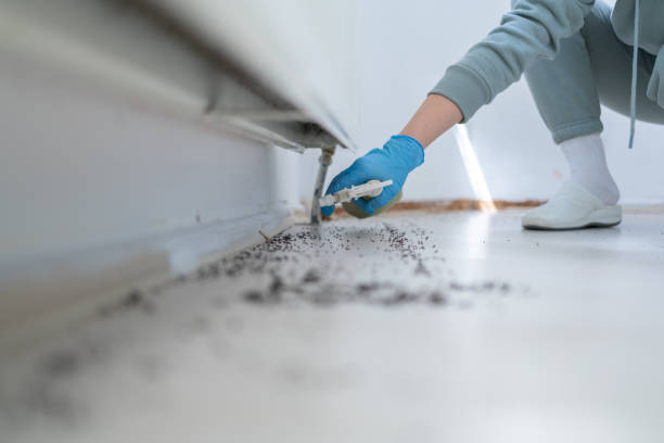 Best Commercial Pest Control Services  in Morrisville, NY
